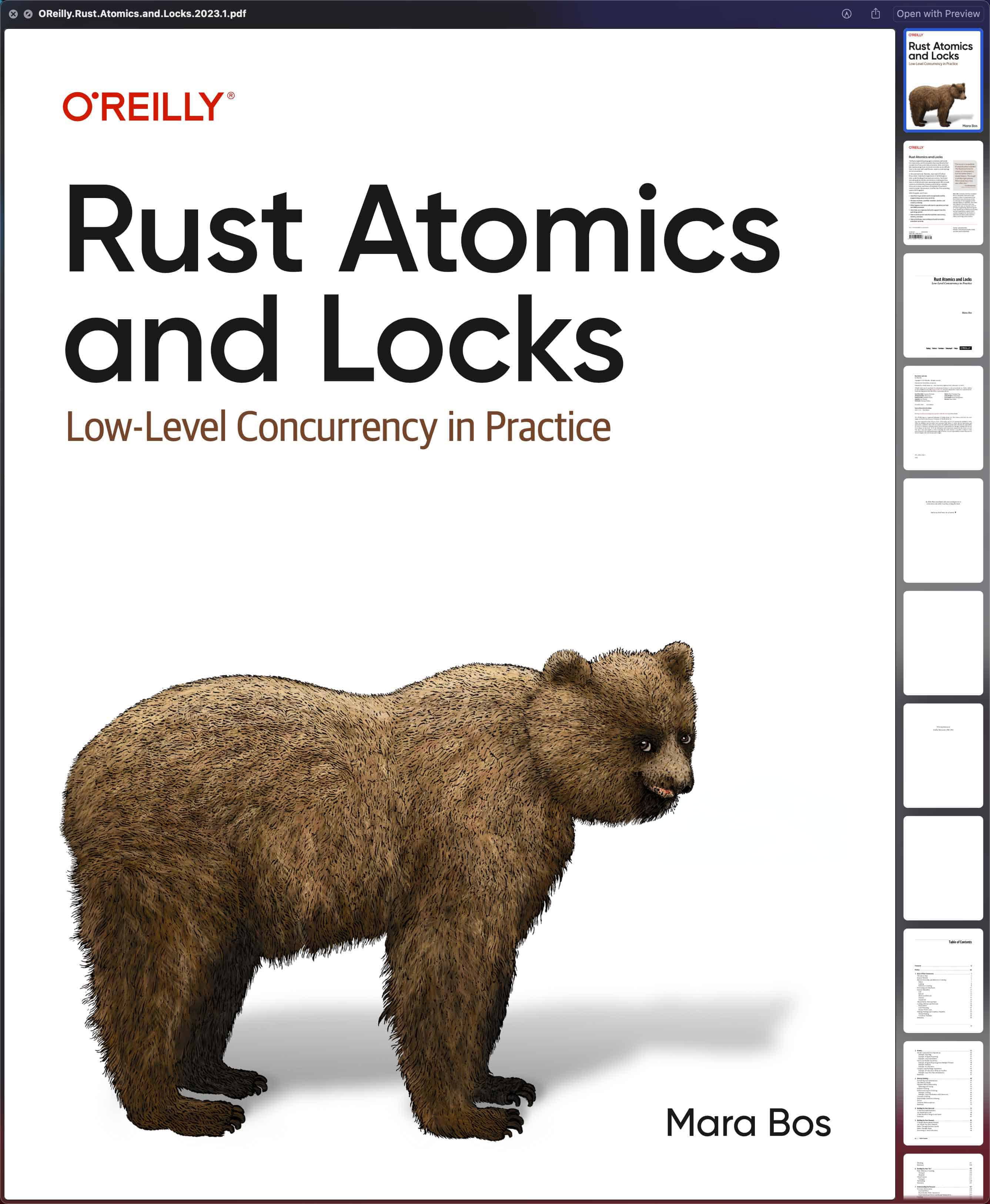 Rust Atomics and Locks 中文翻译版 1 Rust Atomics and Locks 中文翻译版