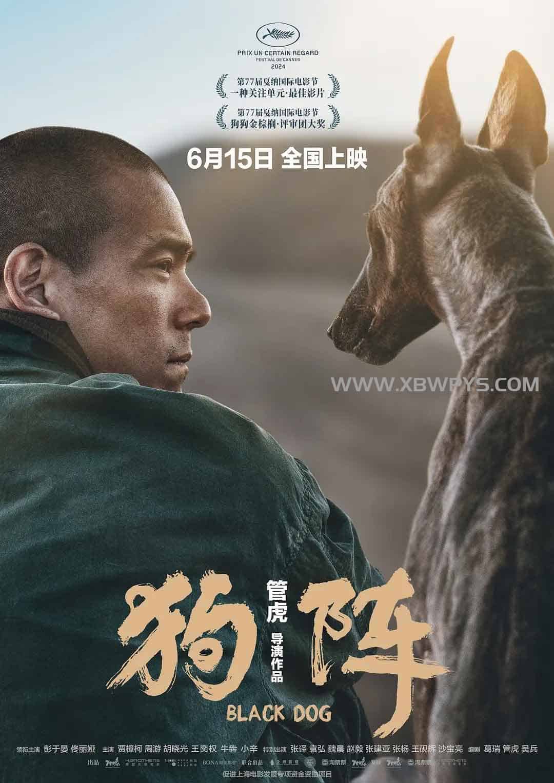 狗阵 (2024)国语中字1080p 2阿里云盘,百度网盘,夸克网盘全集在线看1080P,MP4(百度,阿里,迅雷,夸克,UC云盘) 狗阵 (2024)国语中字1080p