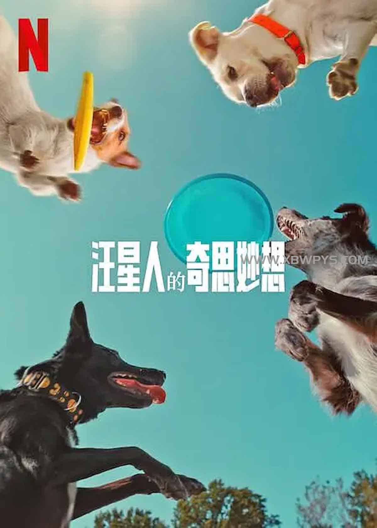 汪星人的奇思妙想 Inside the Mind of a Dog (2024)中文字幕1080p 2阿里云盘,百度网盘,夸克网盘全集在线看1080P,MP4(百度,阿里,迅雷,夸克,UC云盘) 汪星人的奇思妙想 Inside the Mind of a Dog (2024)中文字幕1080p